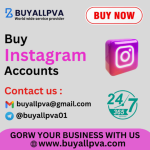 Buy Instagram Accounts